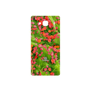 MAHOOT Atom Universe 3 Cover Sticker for Xiaomi Redmi 2
