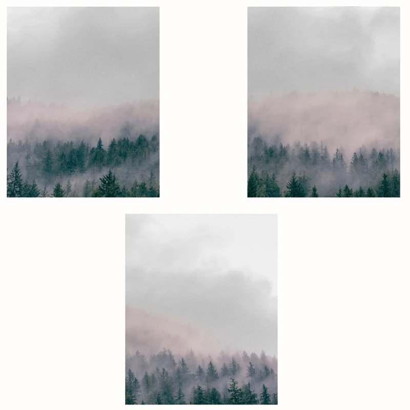 پوستر مدل مستر جنگلی -جنگل مه آلود مجموعه 3 عددی