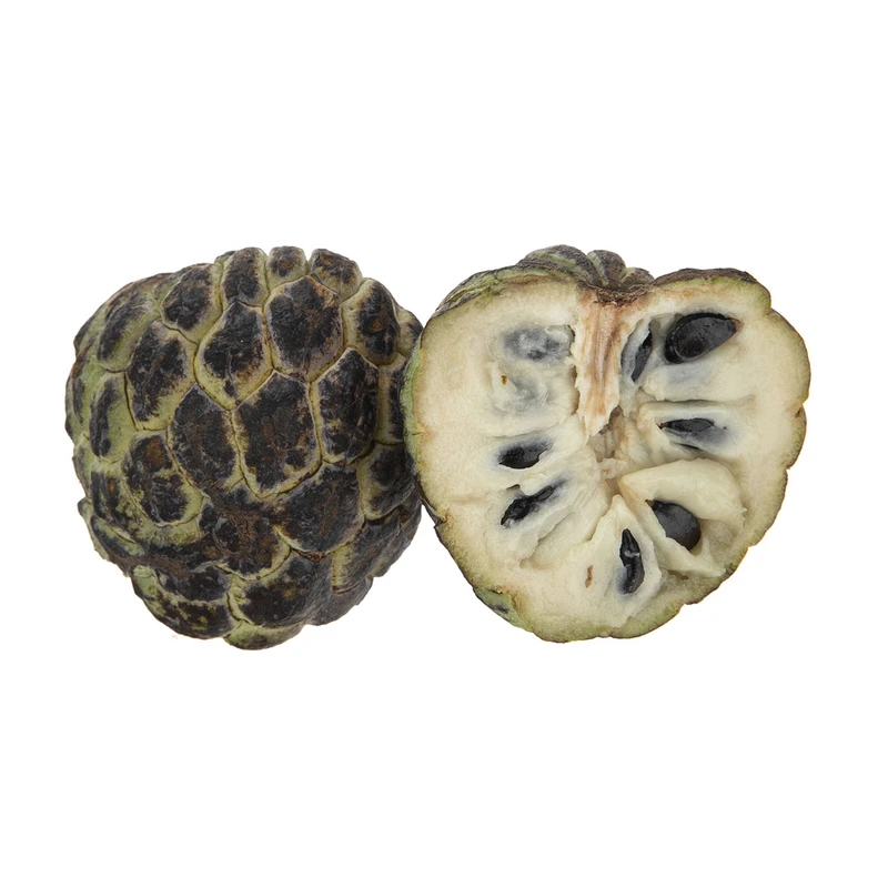 شوگراپل (یک عدد)