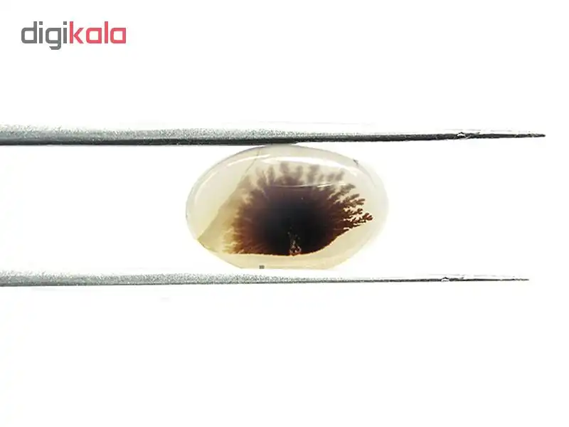 سنگ عقیق شجر مدل 5070