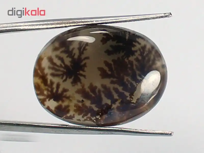 سنگ عقیق شجر مدل 5362