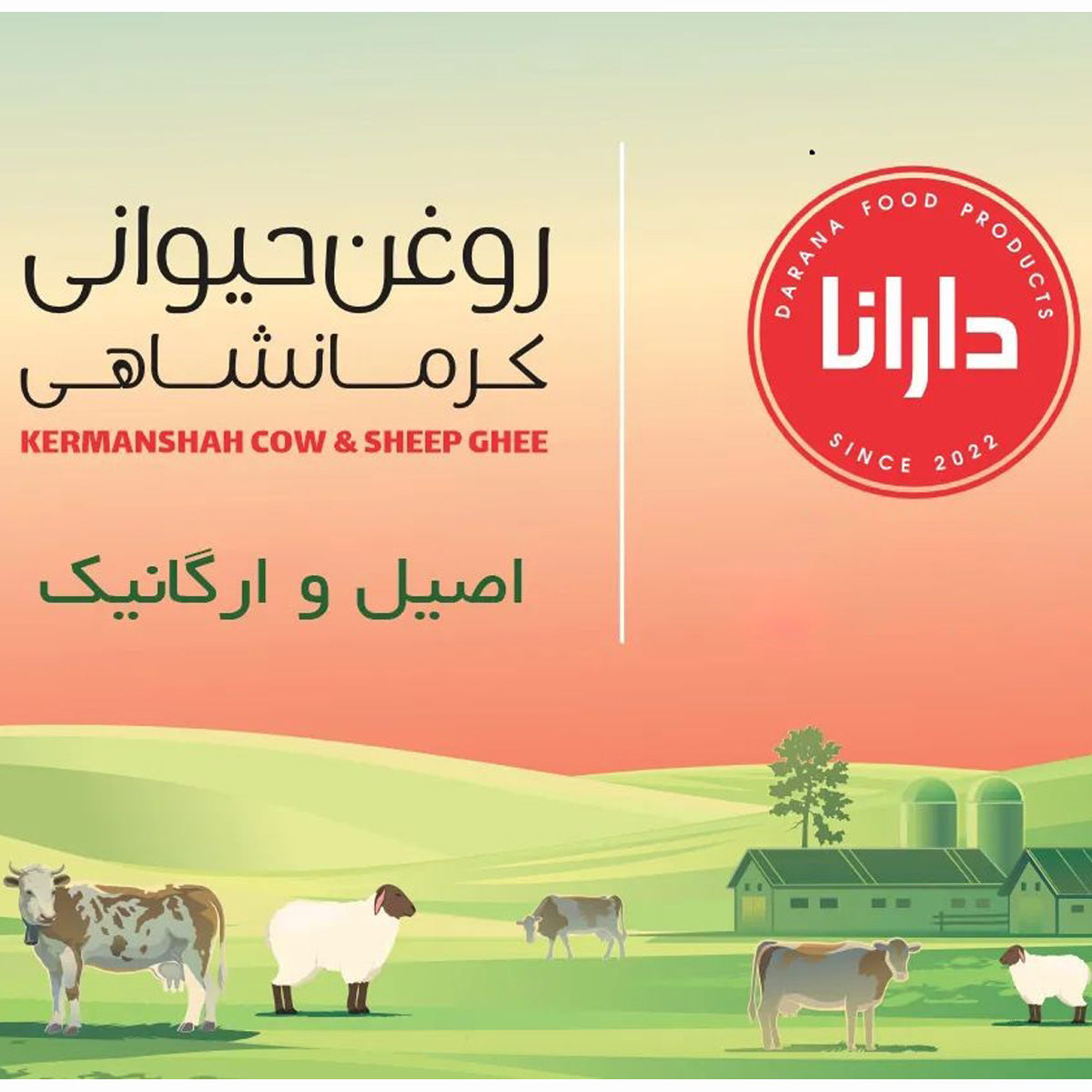 روغن حیوانی گاوی دارانا - 500 گرم