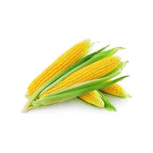 بلال مکزیکی دست چین -  5 کیلوگرم