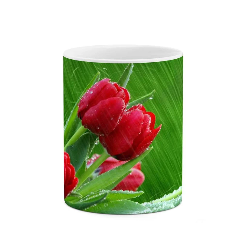 ماگ کاکتی مدل گل کد mgh11991