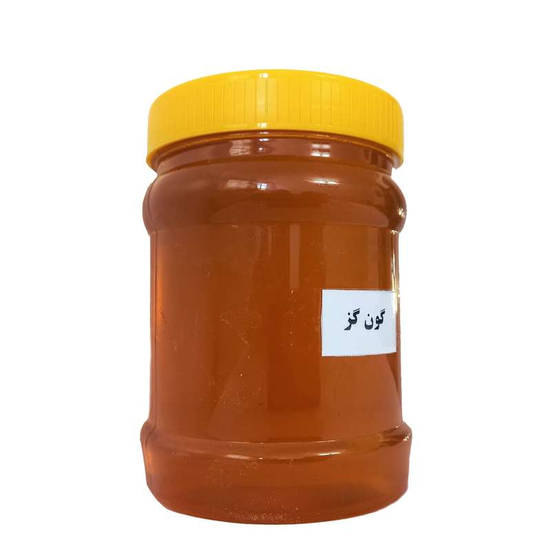 عسل گون گز - 1000 گرم