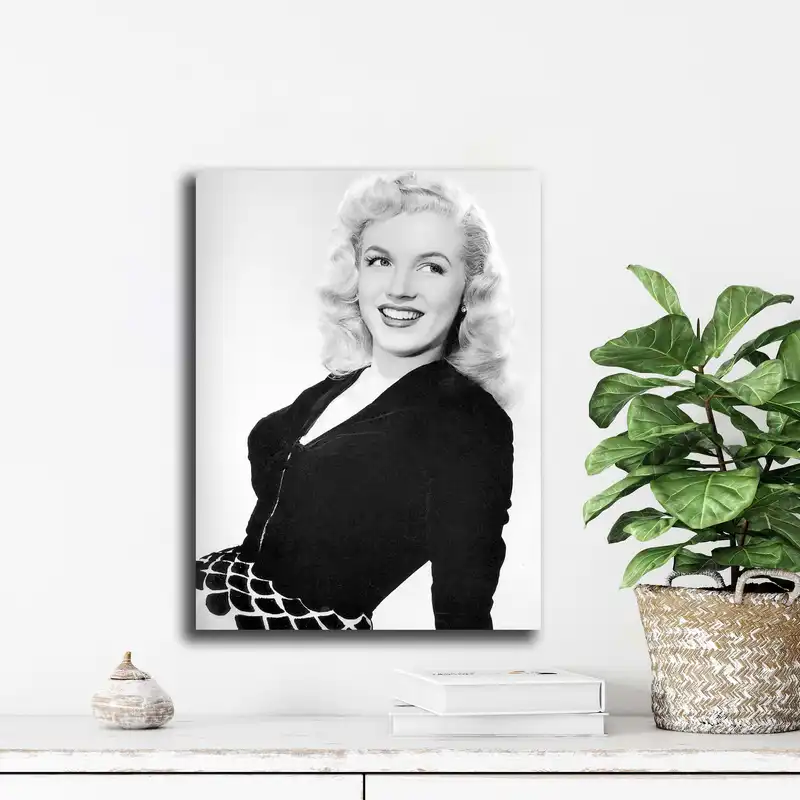 تابلو شاسی آتریسا مدل مرلین مونرو