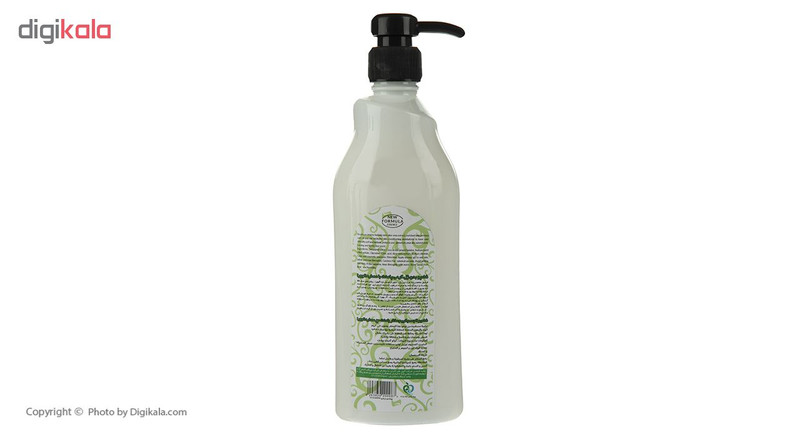 شامپو بدن پامنت مدل Aloe Vera حجم 500 میلی لیتر