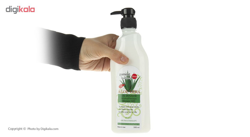 شامپو بدن پامنت مدل Aloe Vera حجم 500 میلی لیتر
