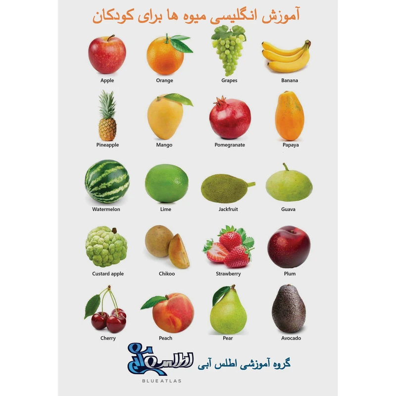 بازی آموزشی انگلیسی اطلس آبی طرح میوه ها مدل TE1008