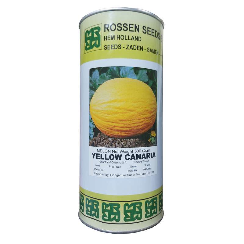 بذر خربزه یلو کانری روزن سیدز کد B51