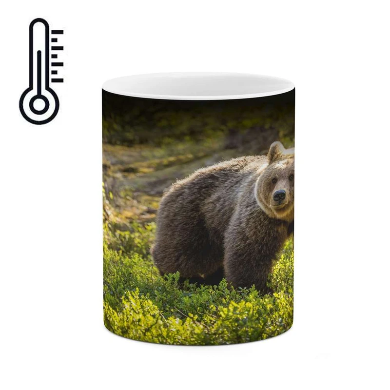 ماگ حرارتی کاکتی مدل خرس کد mgh16523