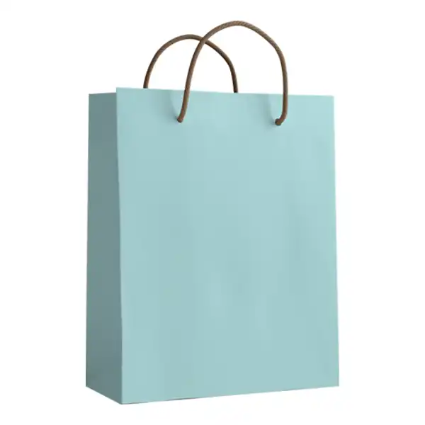 ساک دستی مدل 10077 بسته 12 عددی