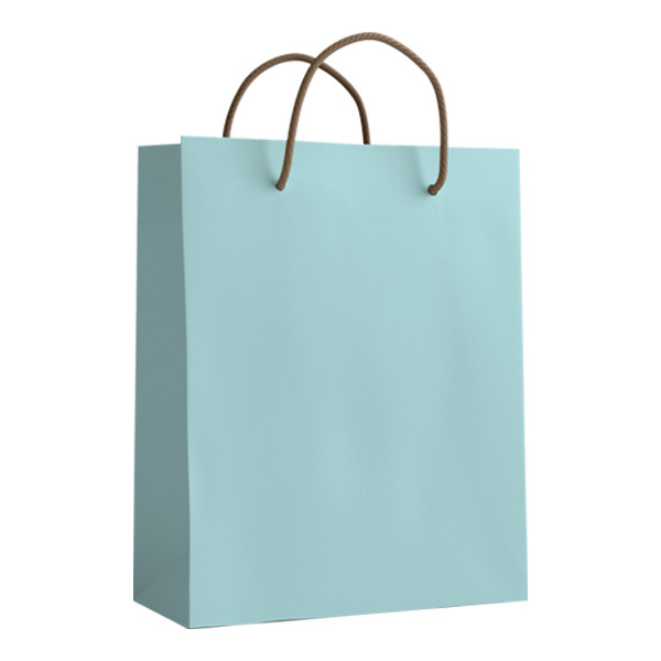 ساک دستی مدل 10077 بسته 12 عددی