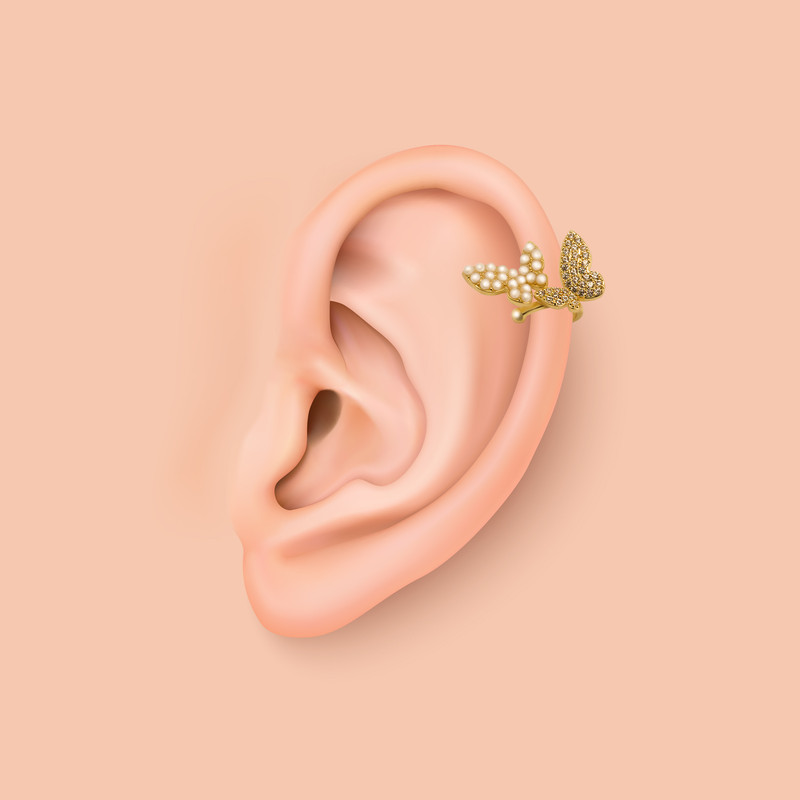 پیرسینگ گوش زنانه پایتخت مدل PS1084 ایرکاف فیک
