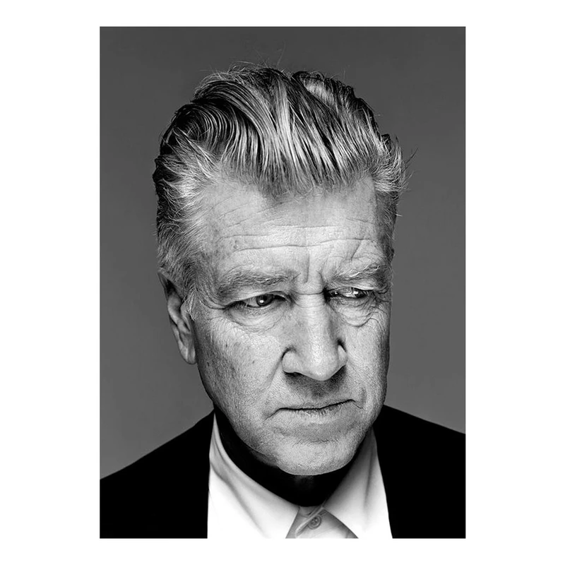 تابلو شاسی طرح Artist David Lynch 0064