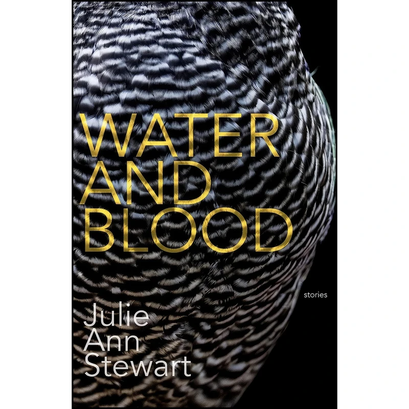 کتاب Water and Blood اثر Julie Stewart انتشارات Dzanc Books