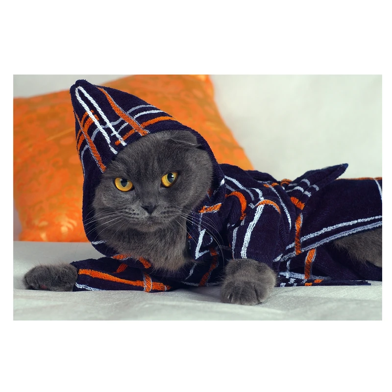 تابلو شاسی طرح گربه کد 0183