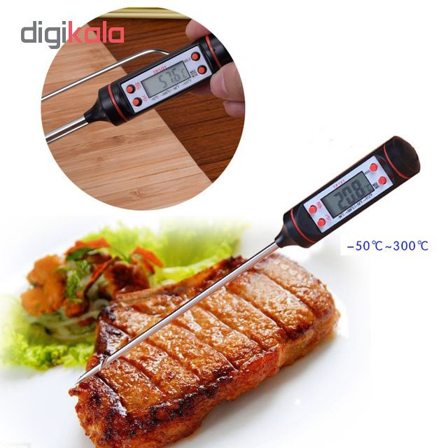 دماسنج مدل TP101 کد 3000