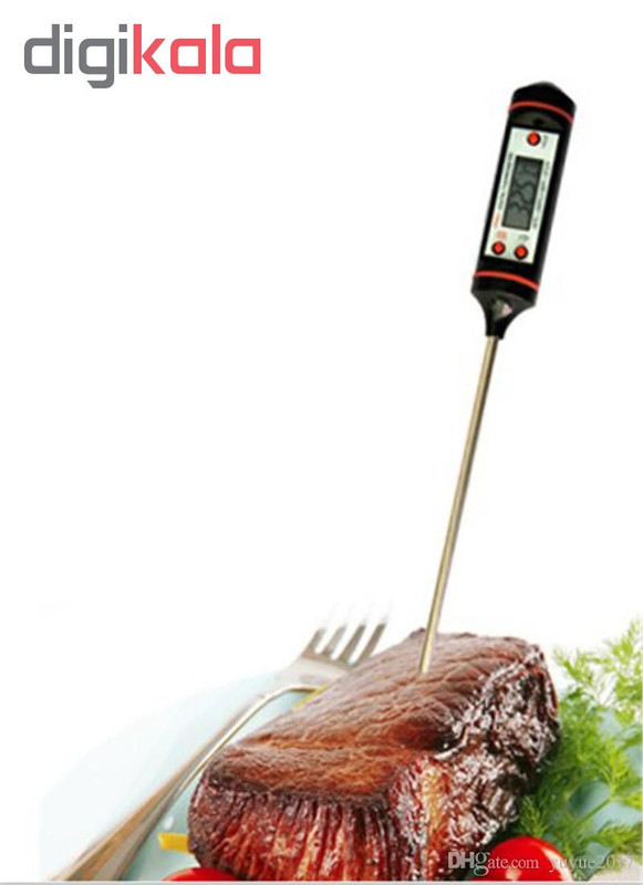 دماسنج مدل TP101 کد 3000
