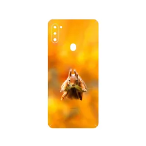 MAHOOT Squirrel Cover Sticker for Samsung Galaxy M11