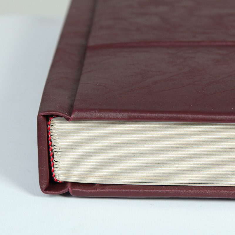 آلبوم عکس مدل A 20