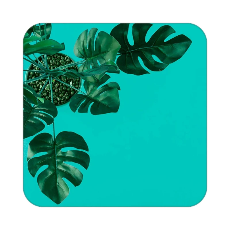 زیر لیوانی کاکتی طرح گل مدل mp17239