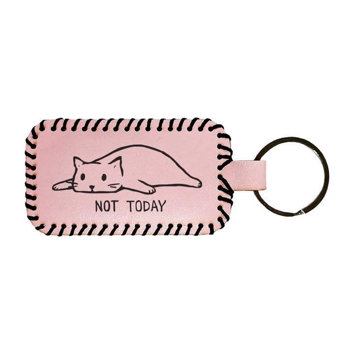 جاکلیدی مدل گربه