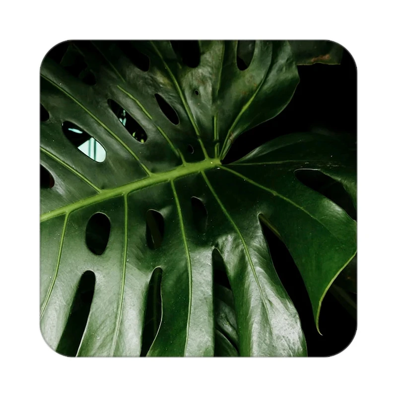 زیر لیوانی کاکتی طرح گل مدل mp17877