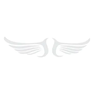 برچسب بدنه خودرو ونگارد طرح پرنده کد 01