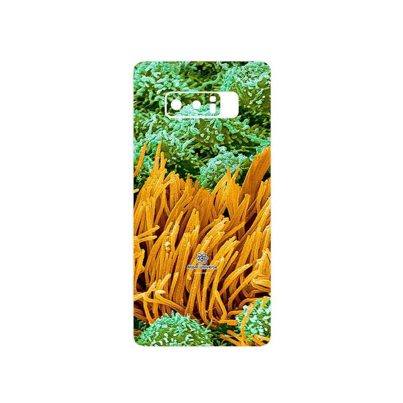 برچسب پوششی ماهوت مدل Atom Universe 6 مناسب برای گوشی موبایل سامسونگ Galaxy Note 8