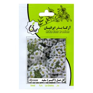 بذر گل عسل سفید آرکا بذر ایرانیان مدل C128