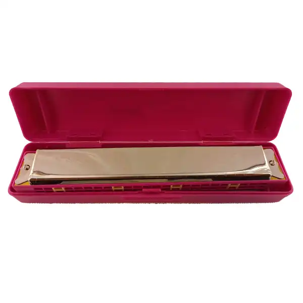 ساز دهنی کی می مدل 2hole