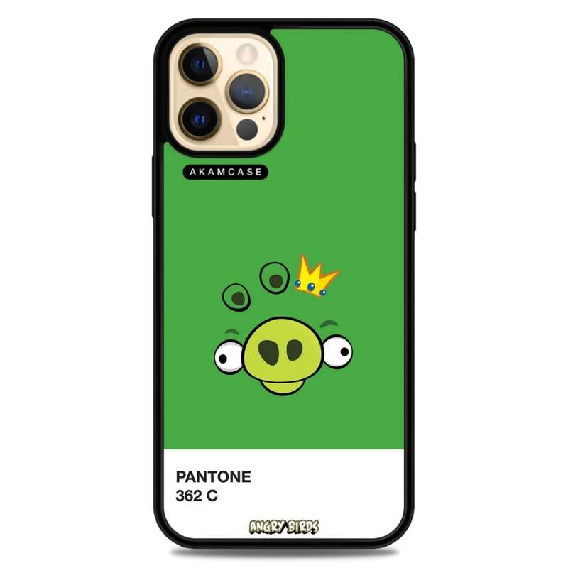 کاور آکام مدل AMC-WA12PRO-ANGRY BIRDS13 مناسب برای گوشی موبایل اپل iPhone 12 Pro