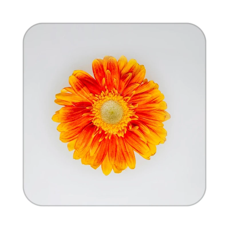 زیر لیوانی کاکتی طرح گل مدل mp16318