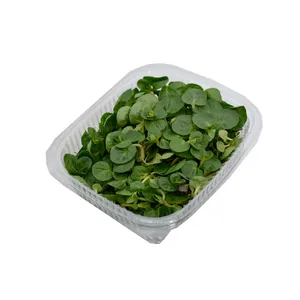 نعنا سیب درجه یک - 100 گرم