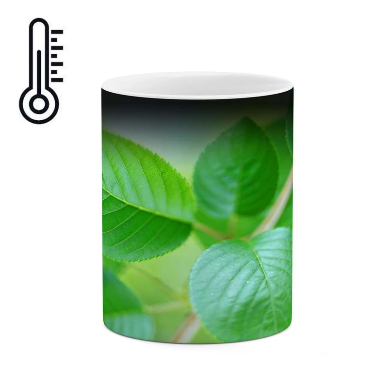 ماگ حرارتی کاکتی مدل برگ کد mgh12203