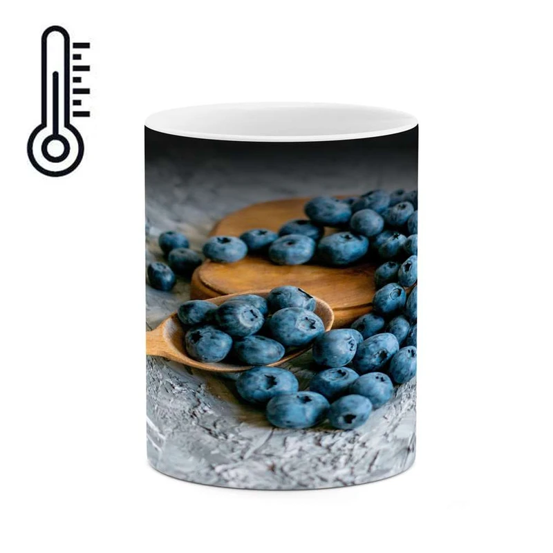 ماگ حرارتی کاکتی مدل بلوبری کد mgh16547