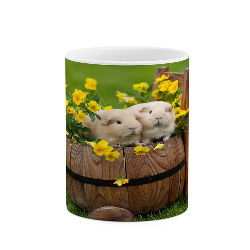 ماگ کاکتی مدل خرگوش کد mgh14264