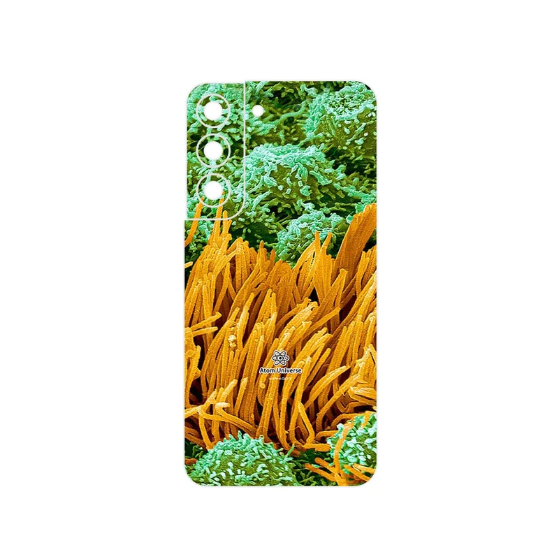 برچسب پوششی ماهوت مدل Atom Universe 6 مناسب برای گوشی موبایل سامسونگ Galaxy S22 5G