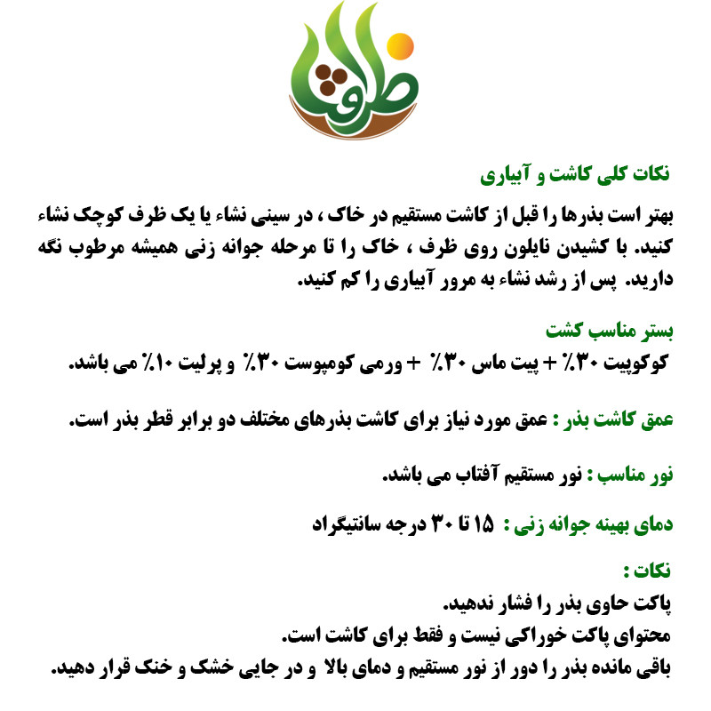 بذر ریحان سبز مدل BZ18266