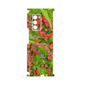 MAHOOT Atom Universe 3-FullSkin Cover Sticker for Samsung Galaxy Z FOLD 2