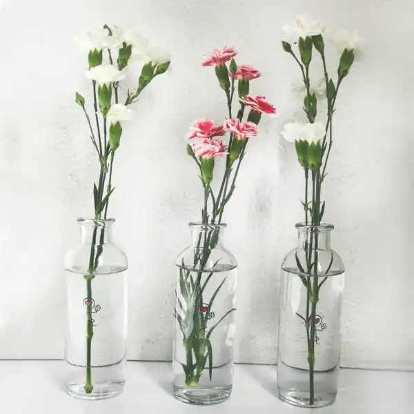 گلدان شیشه ای مدل v250 کد G1