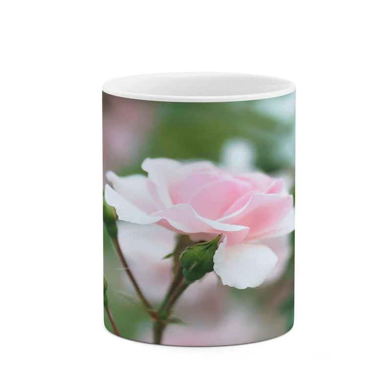 ماگ کاکتی مدل گل کد mgh14415