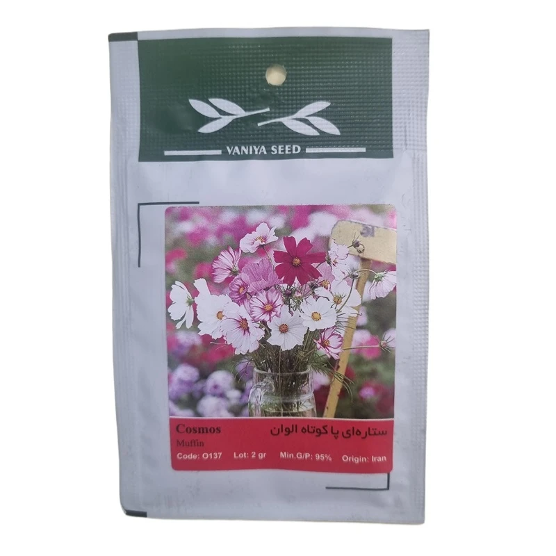 بذر گل ستاره ای پاکوتاه الوان وانیا سید مدل BA1470