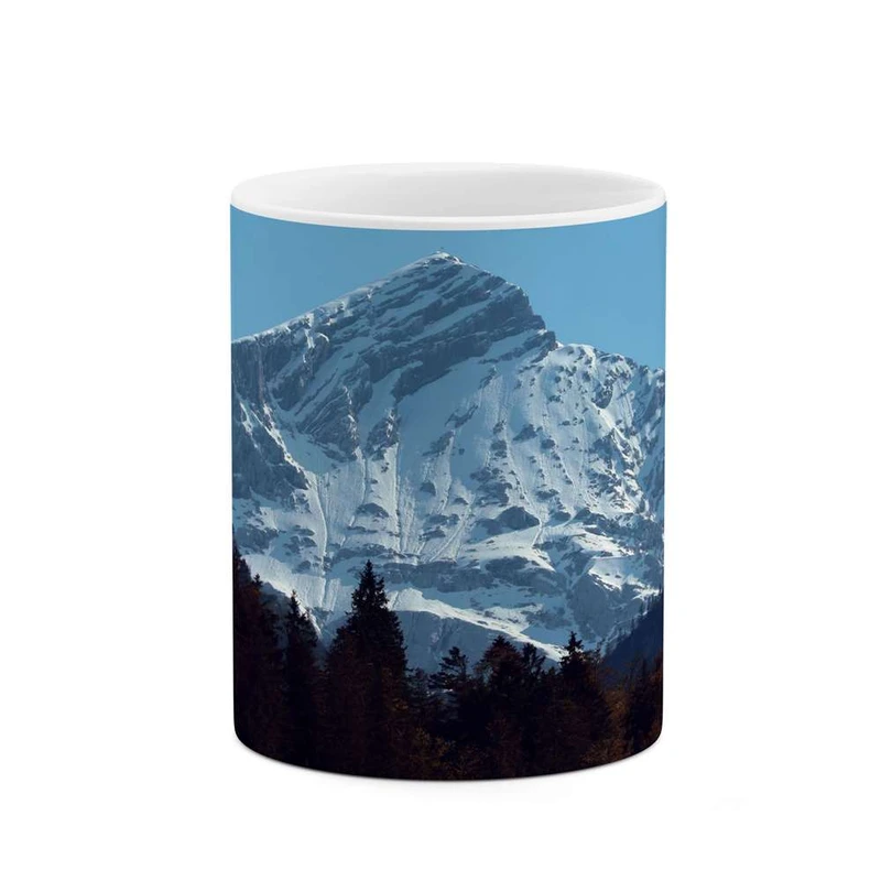 ماگ کاکتی مدل منظره کد mgh16493