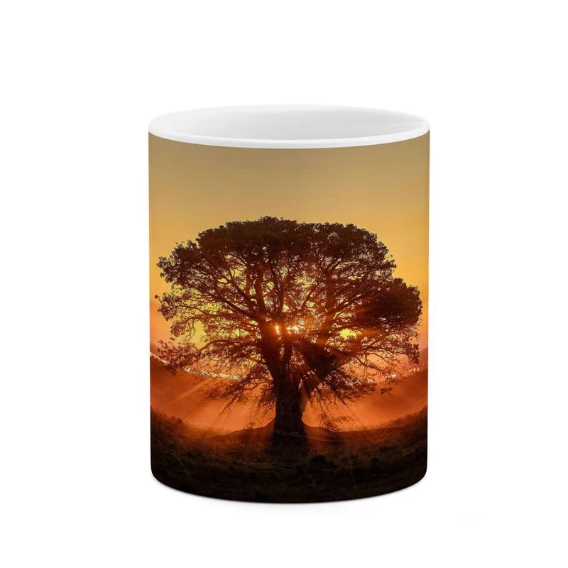 ماگ کاکتی مدل منظره کد mgh14058