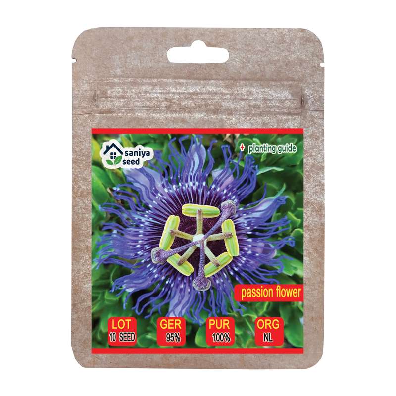 بذر گل ساعتی رونده آبی سانیا سید مدل S113 بذر گل ساعتی رونده آبی سانیا سید مدل S113