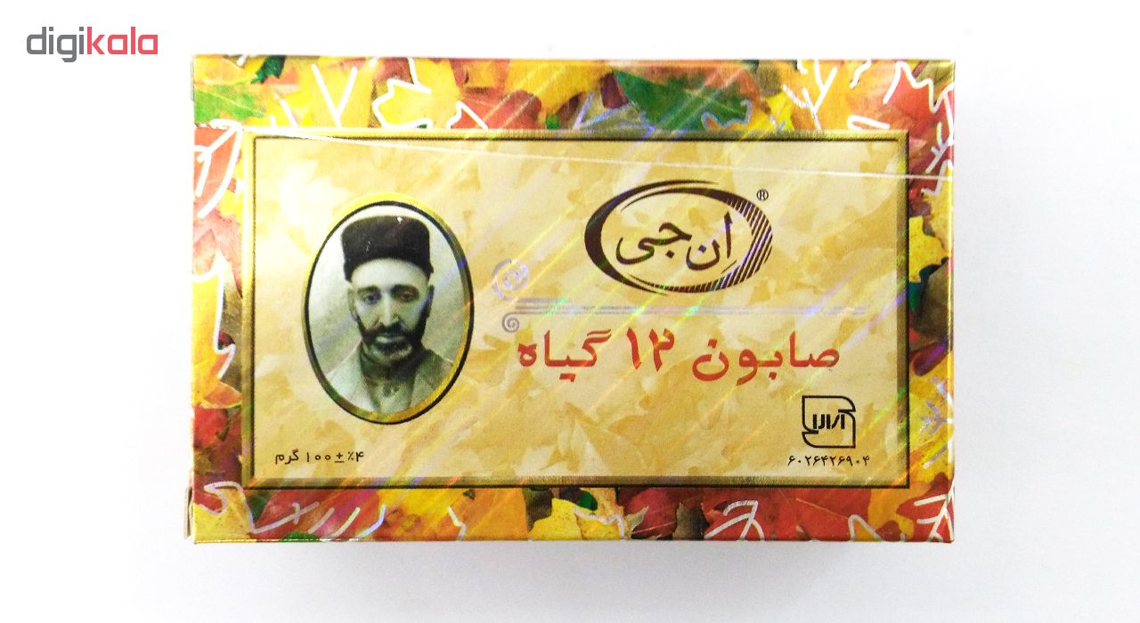 صابون 12 گیاه موی سر ان جی اورجینال مدل NG Herb وزن 100 گرم