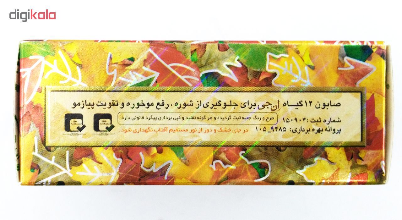 صابون 12 گیاه موی سر ان جی اورجینال مدل NG Herb وزن 100 گرم -  - 8