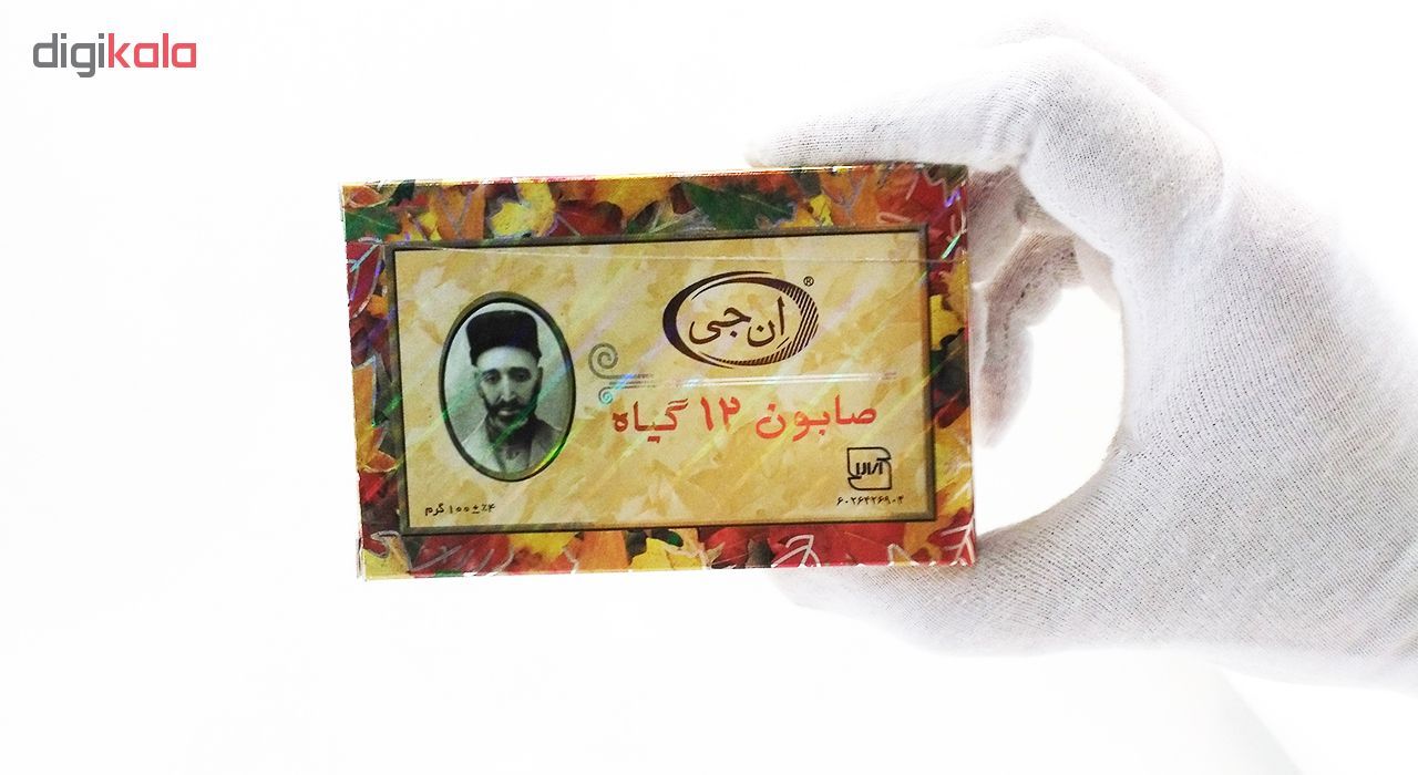 صابون 12 گیاه موی سر ان جی اورجینال مدل NG Herb وزن 100 گرم -  - 11